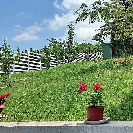 Fruskogorska Idila Apartmani 브르드니크 외부 사진