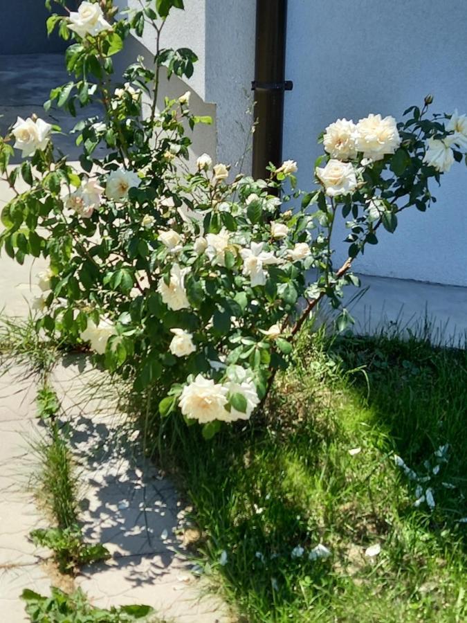 Fruskogorska Idila Apartmani 브르드니크 외부 사진