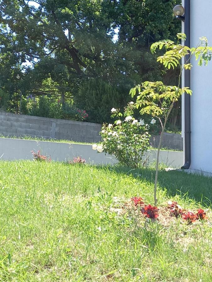 Fruskogorska Idila Apartmani 브르드니크 외부 사진
