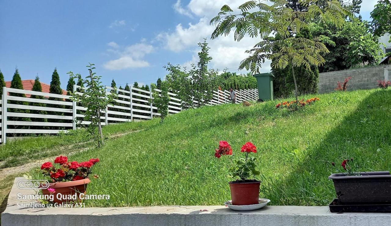 Fruskogorska Idila Apartmani 브르드니크 외부 사진